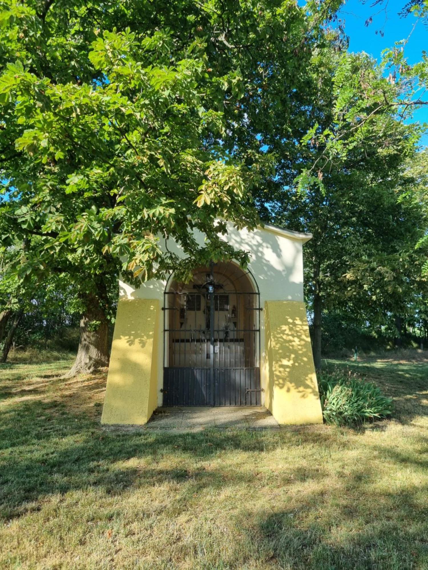 Birkenhof Gols - B & B - Wohlfuehl Hotel Mit Wochenend-Restaurant Bagian luar foto