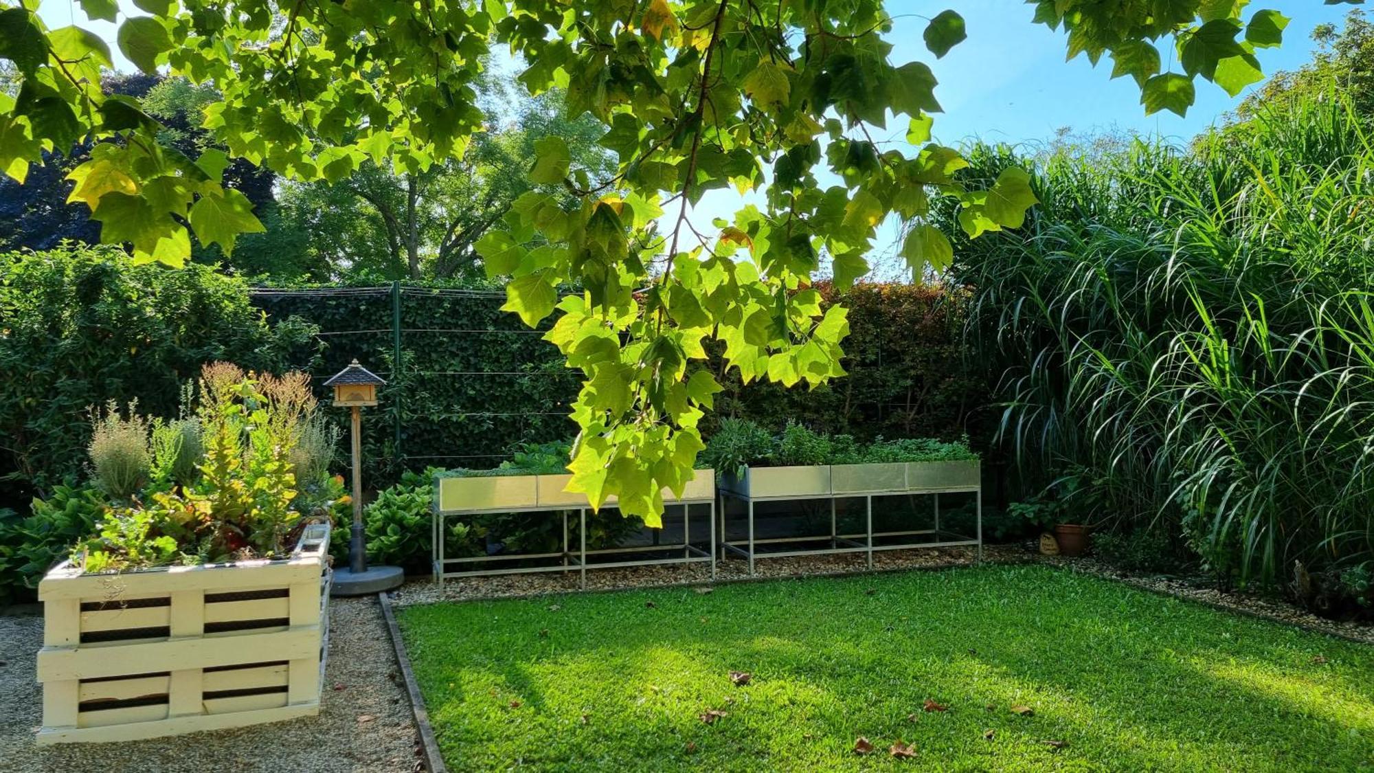 Birkenhof Gols - B & B - Wohlfuehl Hotel Mit Wochenend-Restaurant Bagian luar foto